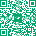 Printable QR code for Wise%20Finance%20Solutions